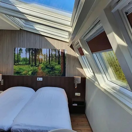 Western 4* Сленакен
