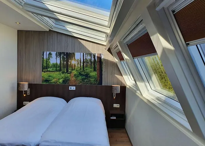 Western 4* Сленакен